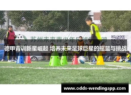 德甲青训新星崛起 培养未来足球巨星的摇篮与挑战