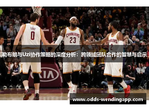 勒布朗与Uzi协作策略的深度分析：跨领域团队合作的智慧与启示