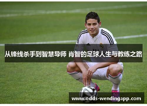 从锋线杀手到智慧导师 肖智的足球人生与教练之路