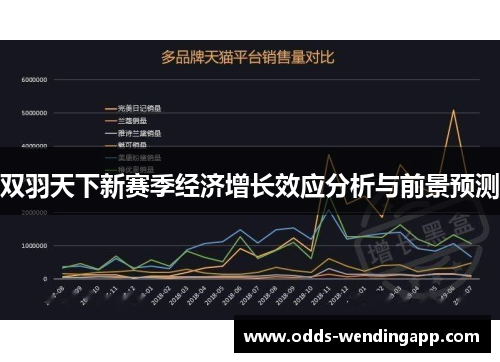 双羽天下新赛季经济增长效应分析与前景预测