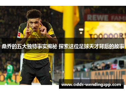 桑乔的五大独特事实揭秘 探索这位足球天才背后的故事