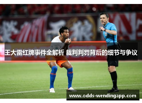 王大雷红牌事件全解析 裁判判罚背后的细节与争议